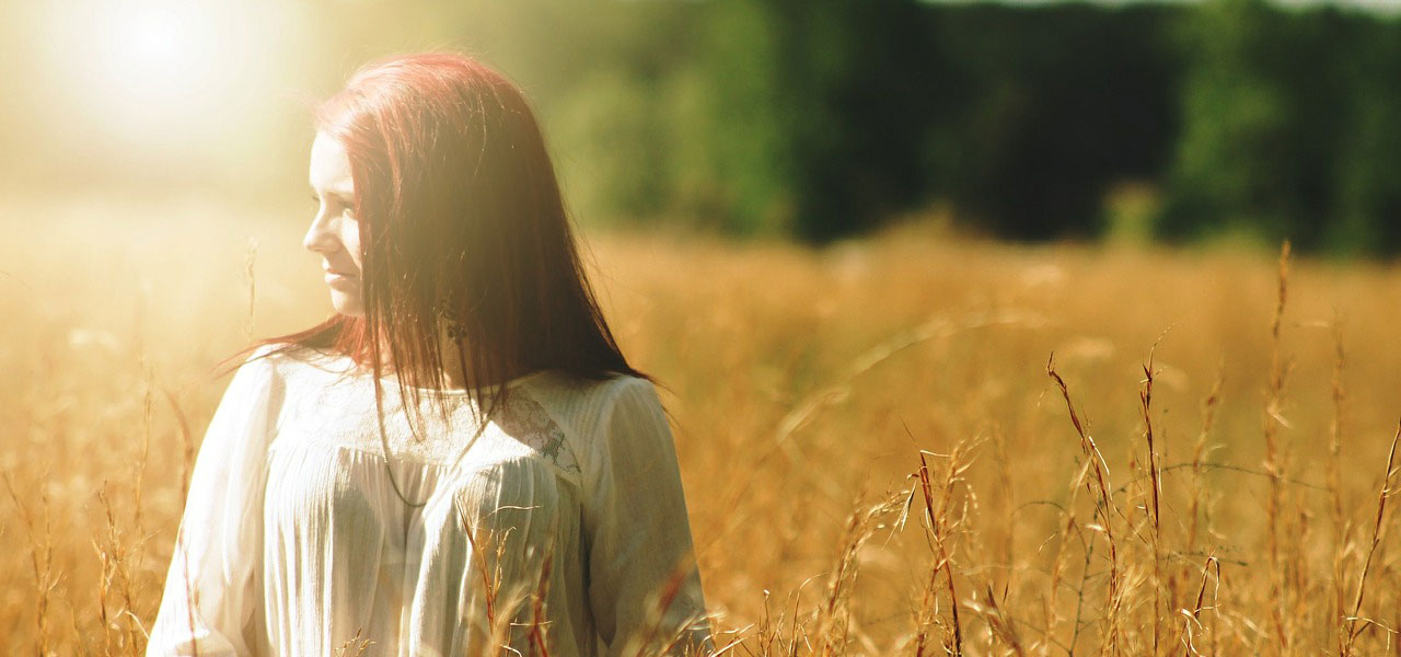 企业管理革新的网页攻击平台